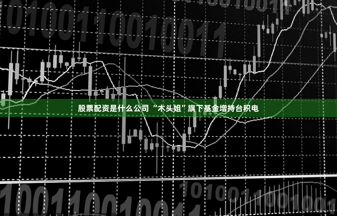 股票配资是什么公司 “木头姐”旗下基金增持台积电