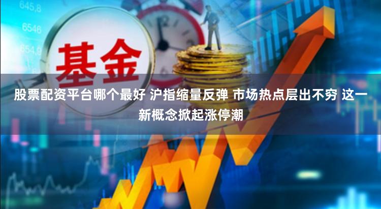 股票配资平台哪个最好 沪指缩量反弹 市场热点层出不穷 这一新概念掀起涨停潮