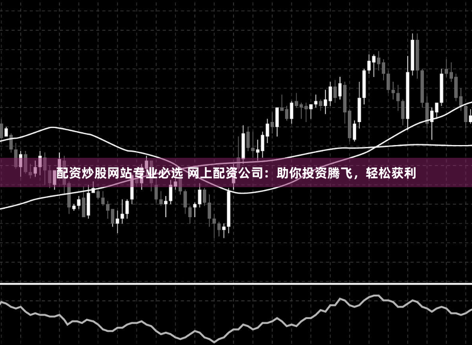 配资炒股网站专业必选 网上配资公司：助你投资腾飞，轻松获利