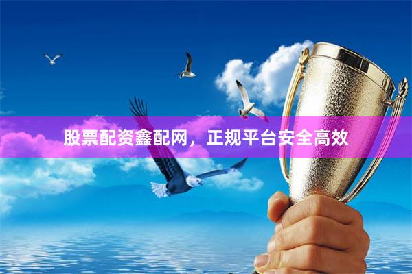 股票配资鑫配网，正规平台安全高效