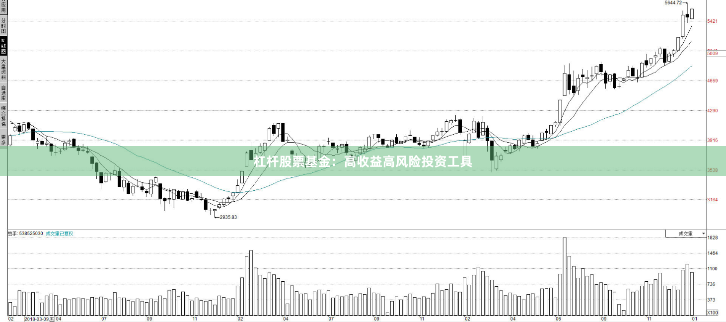 杠杆股票基金：高收益高风险投资工具